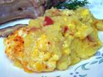 Malian Mamaliga Cu Branza cornmeal Mush With Cheese Dinner
