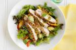 American Warm Chicken and Mango Salad With Passionfruit Dressing Recipe Appetizer