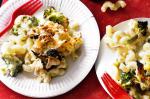 American Cheesy Mac With Roasted Broccoli Recipe Appetizer