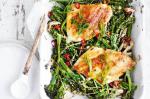 Canadian Miso Butter Snapper With Broccolini Recipe Appetizer