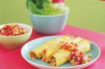 Mexican Spicy Red Rice And Pork Enchiladas Recipe Appetizer