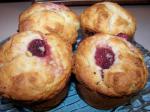 American Shirleys Plain or Blueberry Muffins Dessert