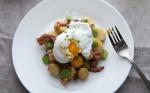 American Warm Fava Bean and Chanterelle Salad with Poached Eggs Recipe Appetizer