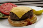 American Burgers With a Special Touch Appetizer
