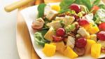 American Gingered Chicken and Fruit Salad Appetizer