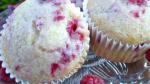 American Raspberry Lemon Muffins Recipe Dessert