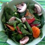 American Springtime Spinach Salad Recipe Appetizer