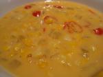 American Corn Cheese and Chili Soup Appetizer