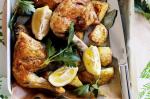 American Lemon Myrtle Roast Chicken Recipe Appetizer