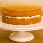 American Sponge Cake Very Simple Basic Dessert