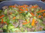 American Low Carb Beef and Broccoli Stir Fry Dinner