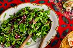 American Red and Green Salad With Anchovymustard Vinaigrette Recipe Appetizer