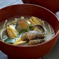 Japanese Miso Soup with Baby Clams Soup