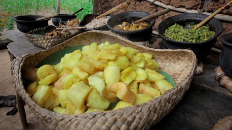 American Manioc with Turmeric Appetizer