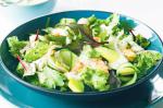 American Prawn Avocado And Asian Lettuce Salad Recipe Appetizer