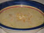 American Crock Pot Potato Soup With Chilies and Cheese Dinner