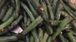 Chinese Chinese Peppered Green Beans Recipe Appetizer