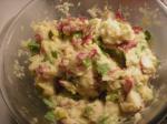 American Red Potato Salad Spicy and Vegan no Mayo or Nayo Appetizer