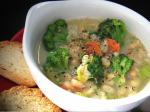 American Yummy Broccoli Veggie Soup Appetizer