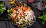 Vietnamese Vietnamese Grilled Shrimp Salad Recipe Appetizer