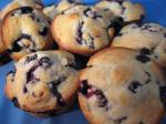 British Blueberry Cranberry Muffins Dessert