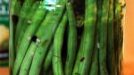 American Crisp Pickled Green Beans Recipe Appetizer