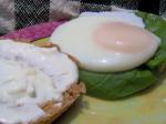 American Florentine Eggs on English Muffins Appetizer