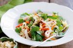 Vietnamese Vietnamese Chicken Salad Recipe 7 Appetizer
