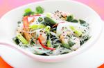 Vietnamese Prawn and Glass Noodle Salad Recipe recipe