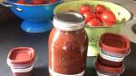 French Ketchup Recipe 1 Appetizer