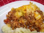 French Cajun Cabbage and Beef Dinner