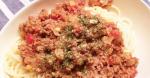 Canadian Meat Sauce for Lazy Daddies 2 Dinner