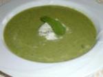 American Green Pea Soup with Mint Gelato Soup