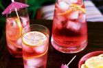 American Pink Gin and Tonic Recipe Appetizer