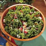 American Warm Wilted Lettuce Salad Appetizer