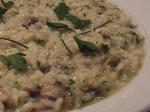 American Leek Mushroom and Lemon Risotto Appetizer