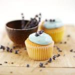 British Lavender and Honey Cupcakes Dessert
