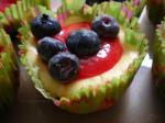 Australian Cheesecake Cupcakes With Raspberry Sauce Dessert