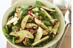 American Spinach Apple and Pecan Salad Recipe Appetizer