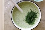 Australian Creamy Broccoli And Celeriac Soup Recipe Appetizer