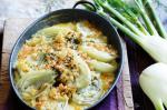 Australian Fennel Thyme And Parmesan Gratin Recipe Appetizer