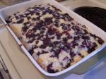 Blueberry Snack Cake 4 recipe