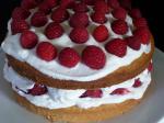 Canadian Classic Sponge Cake With Raspberries and Cream Filling Dessert