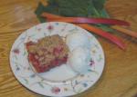 American Rhubarb Crunch 8 Dessert