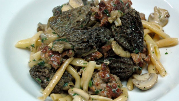 American Pasta with Sausage and Mushroom pasta Con Salsicca E Funghi Appetizer