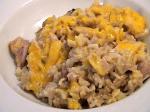 American Cheddar Chicken Casserole Dinner