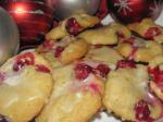 American Orange Frosted Cranberry Cookies Dessert