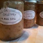 British Chutney with Apple and Rhubarb Appetizer