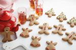 Traditional Christmas Gingerbread Recipe recipe