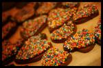 Australian Double Chocolate Freckle Cookies biscuits Dessert